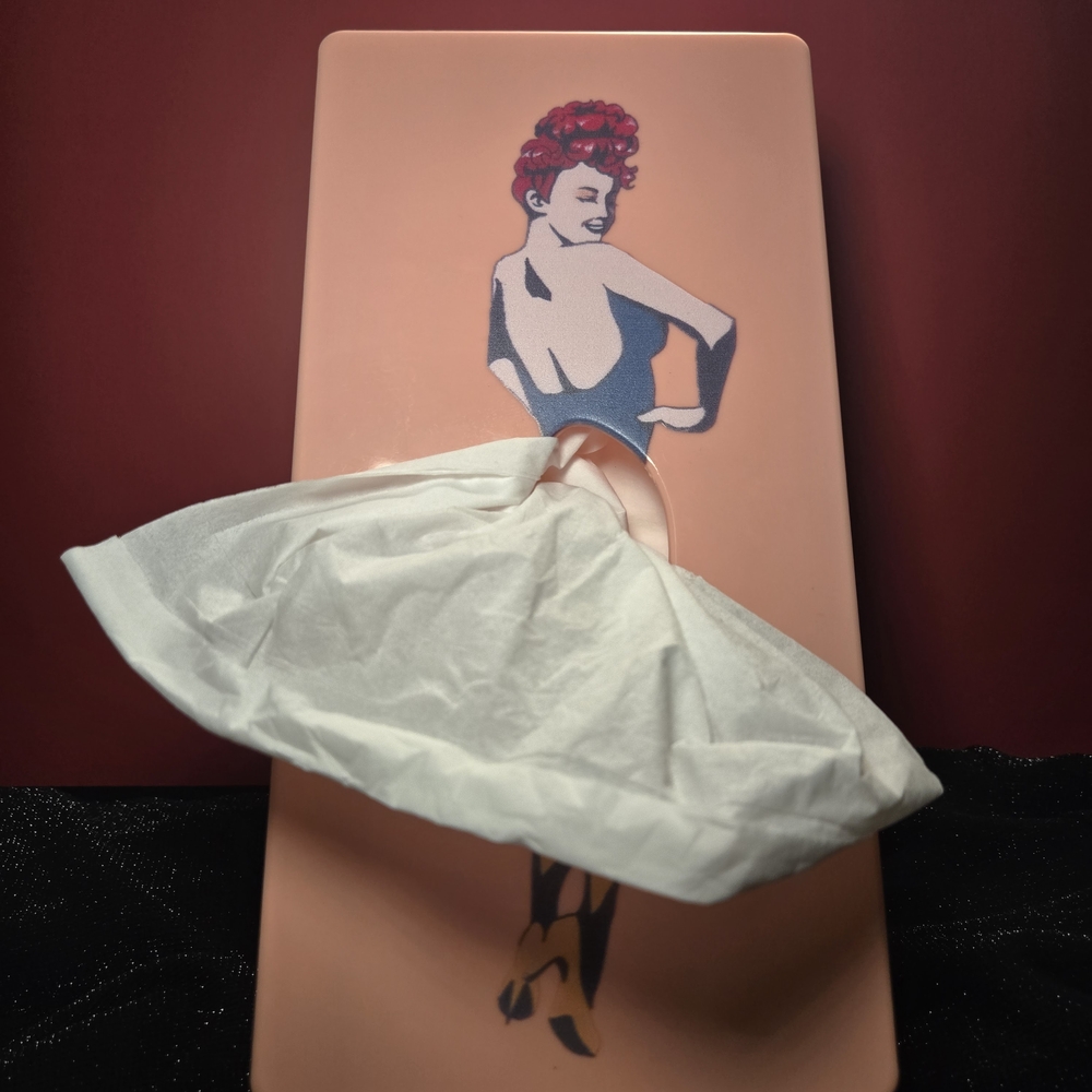 Vintage Retro Tissue Box Cover –‎ 1950s Style Pop Art – Wall Mount or Countertop